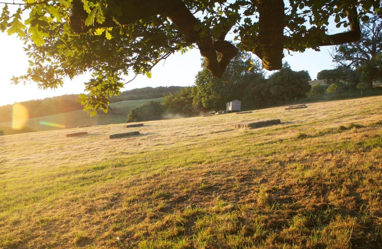 Tilbury Shepherd Huts With Hot Tubs Plus Holiday Cottages West Bagborough Eksteriør bilde