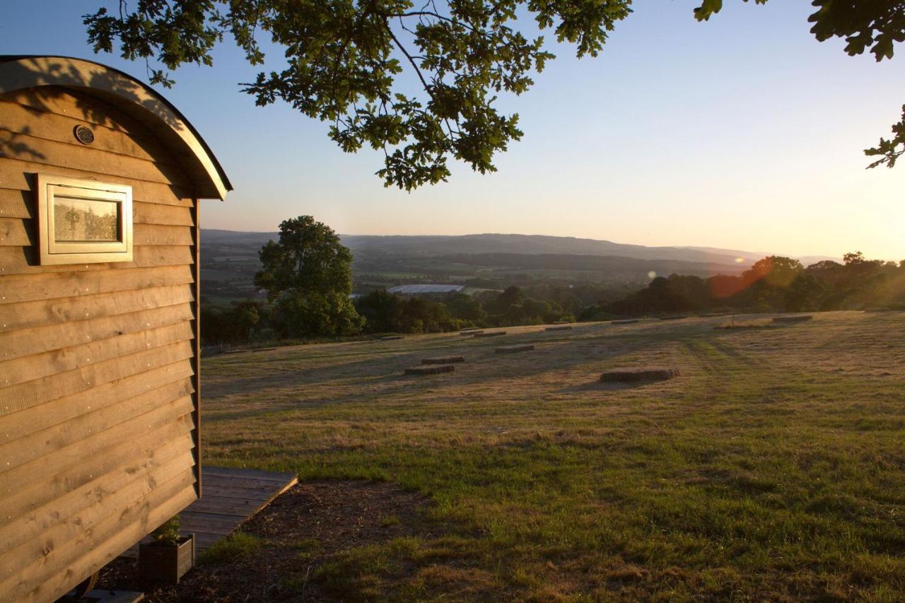 Tilbury Shepherd Huts With Hot Tubs Plus Holiday Cottages West Bagborough Eksteriør bilde