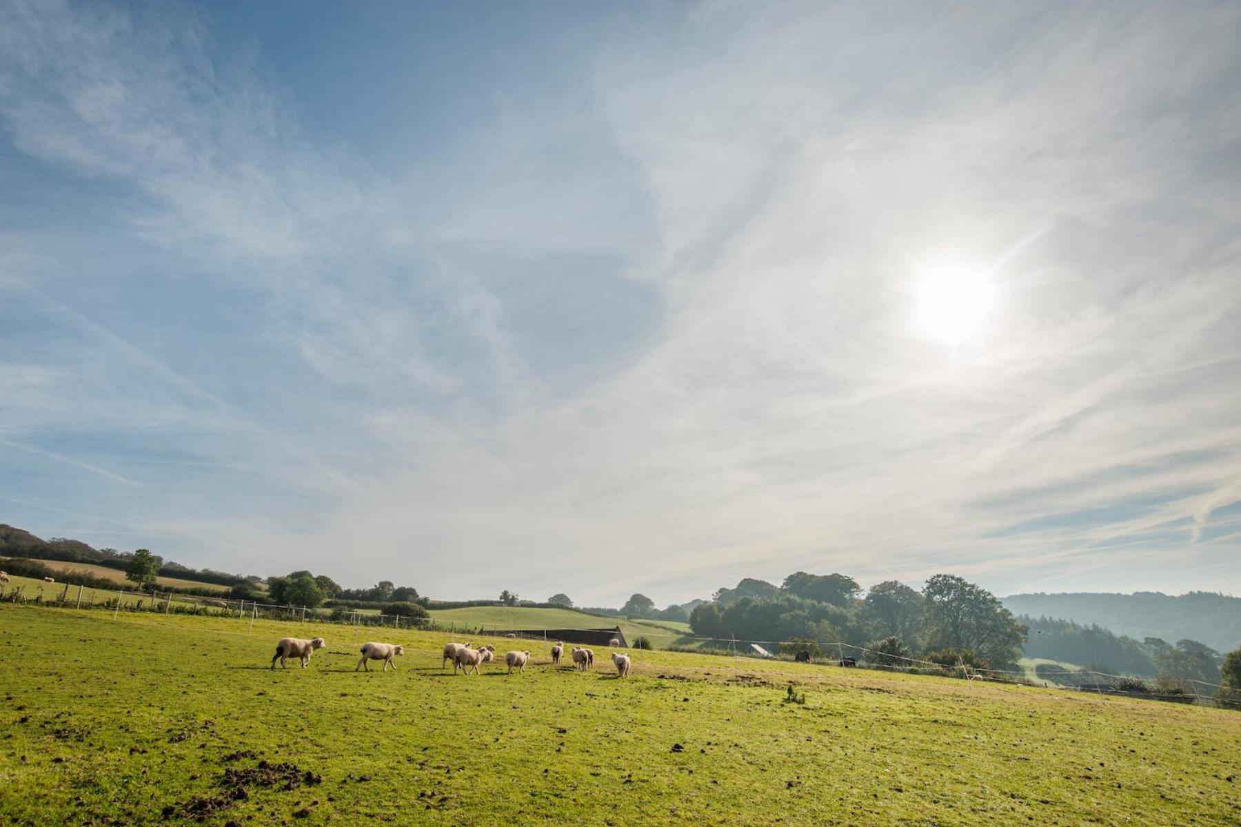 Tilbury Shepherd Huts With Hot Tubs Plus Holiday Cottages West Bagborough Eksteriør bilde